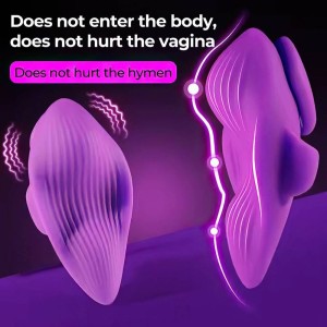 Vibrador de Calcinha com Controle Remoto