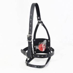 Mordaça com Bola com Suporte de Cabeça